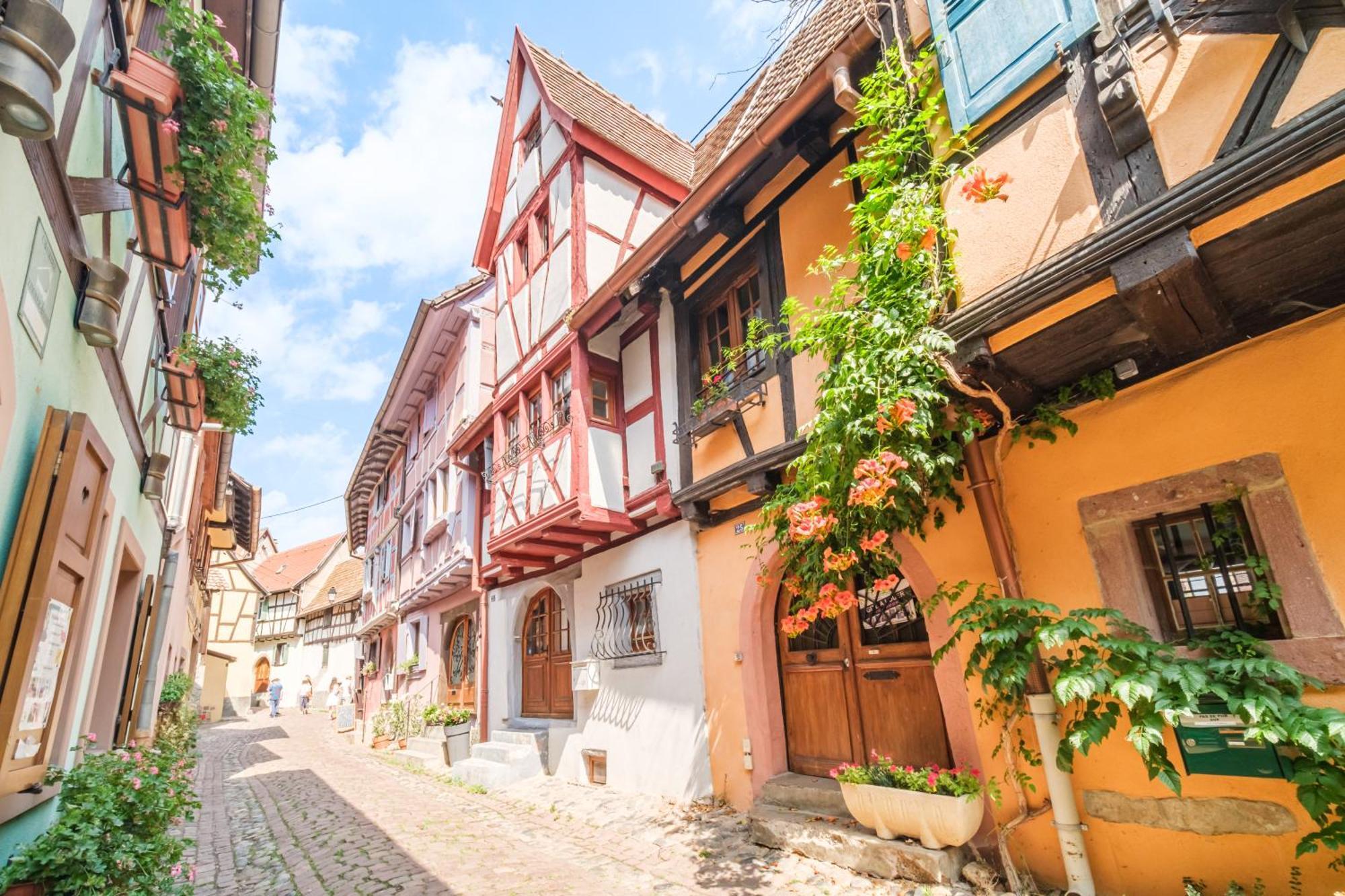 L Oriel Du Rempart Nord Villa Eguisheim Eksteriør billede
